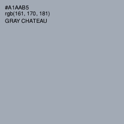 #A1AAB5 - Gray Chateau Color Image